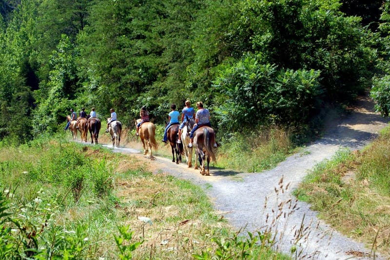 Smoky Mountain Deer Farm and Exotic Petting Zoo — photo 1 of 1