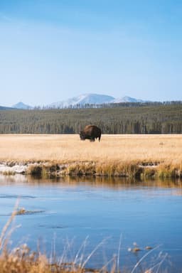 Montana Yellowstone Tours | Private Tours and Hikes