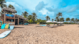 Punta Cana Surf Adventure