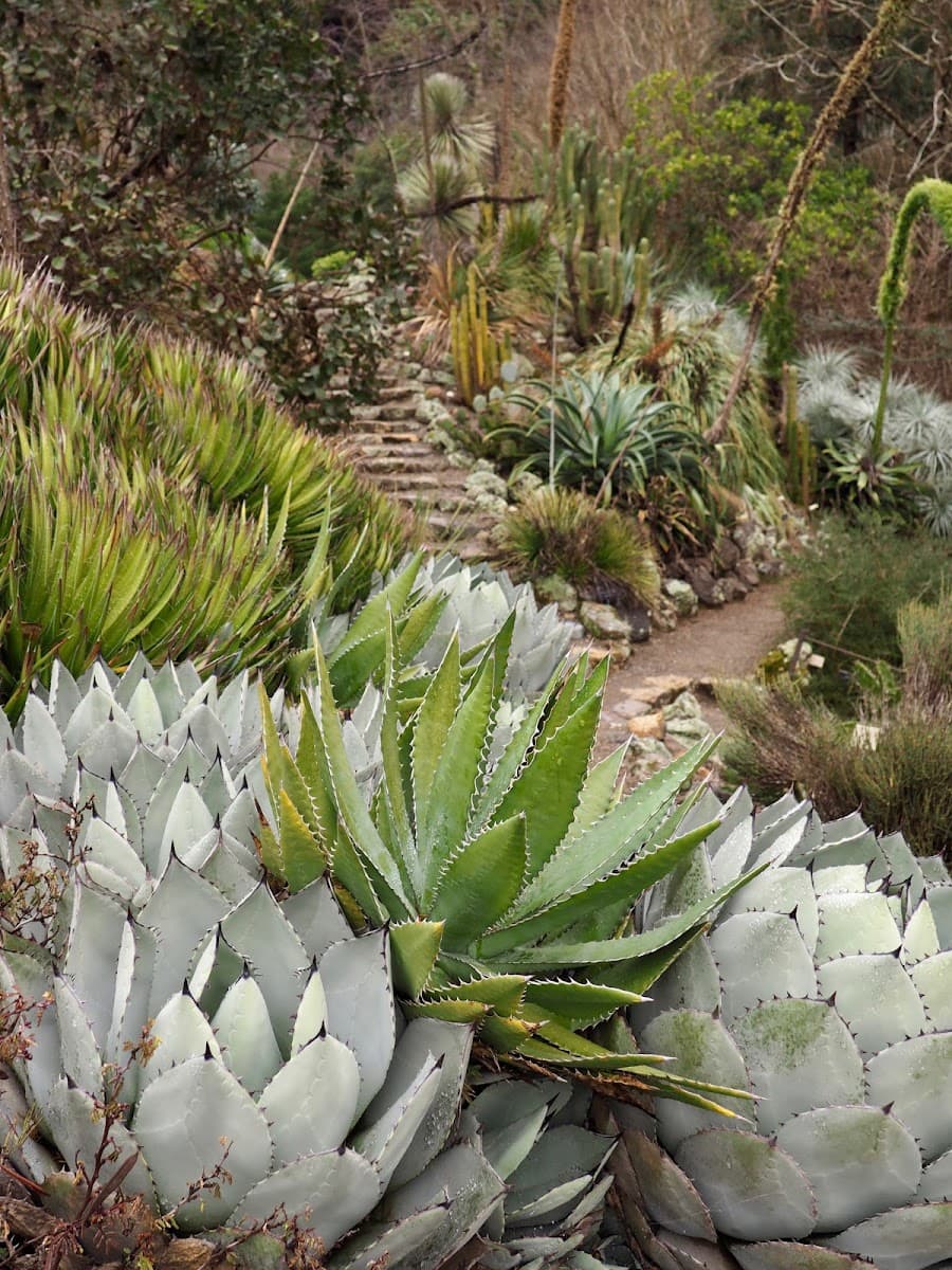 University of California Botanical Garden — photo 1 of 1