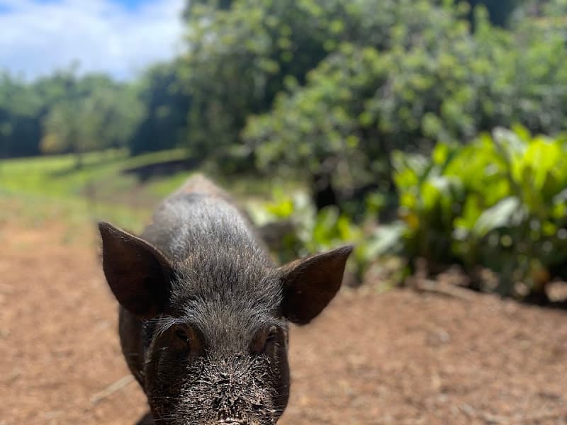 Boo Boo Zoo — photo 1 of 1
