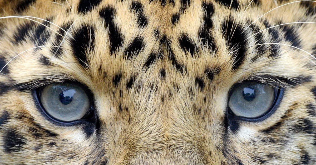 South Parking Lot at Brookfield Zoo Chicago — photo 1 of 2