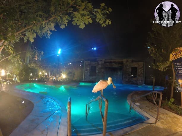 Aquatica San Antonio