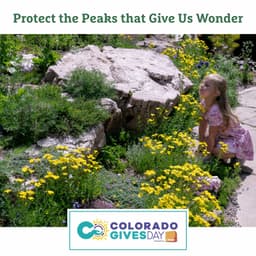 Betty Ford Alpine Gardens