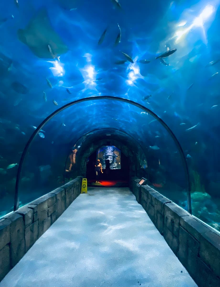 Audubon Aquarium — photo 1 of 1