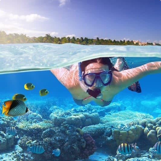 Cabo Day Trips - Things to do in Cabo San Lucas and San José del Cabo — photo 1 of 1