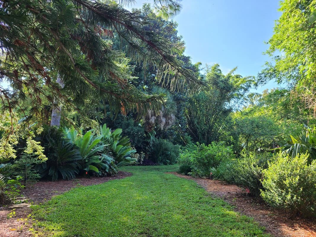 USF Botanical Gardens — photo 1 of 2