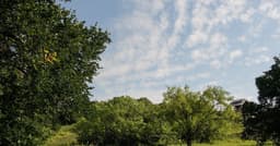Arbor Hills Nature Preserve
