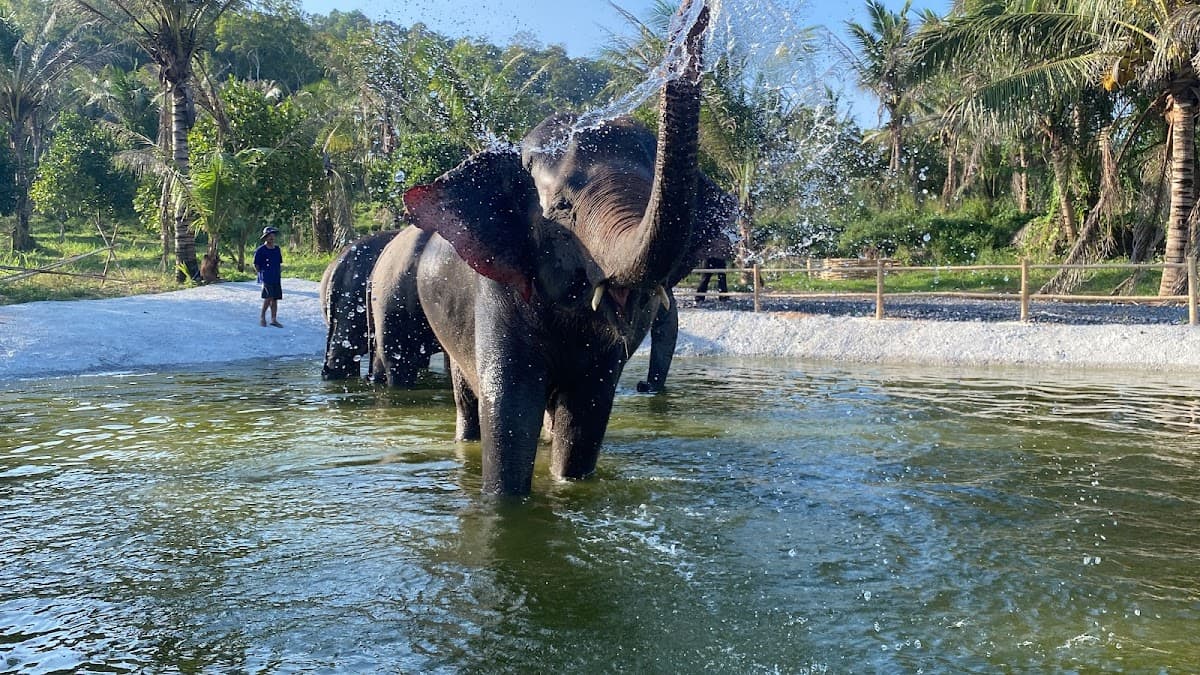 Bangkok Ethical Elephant Tour (Living Green Elephant Sanctuary)