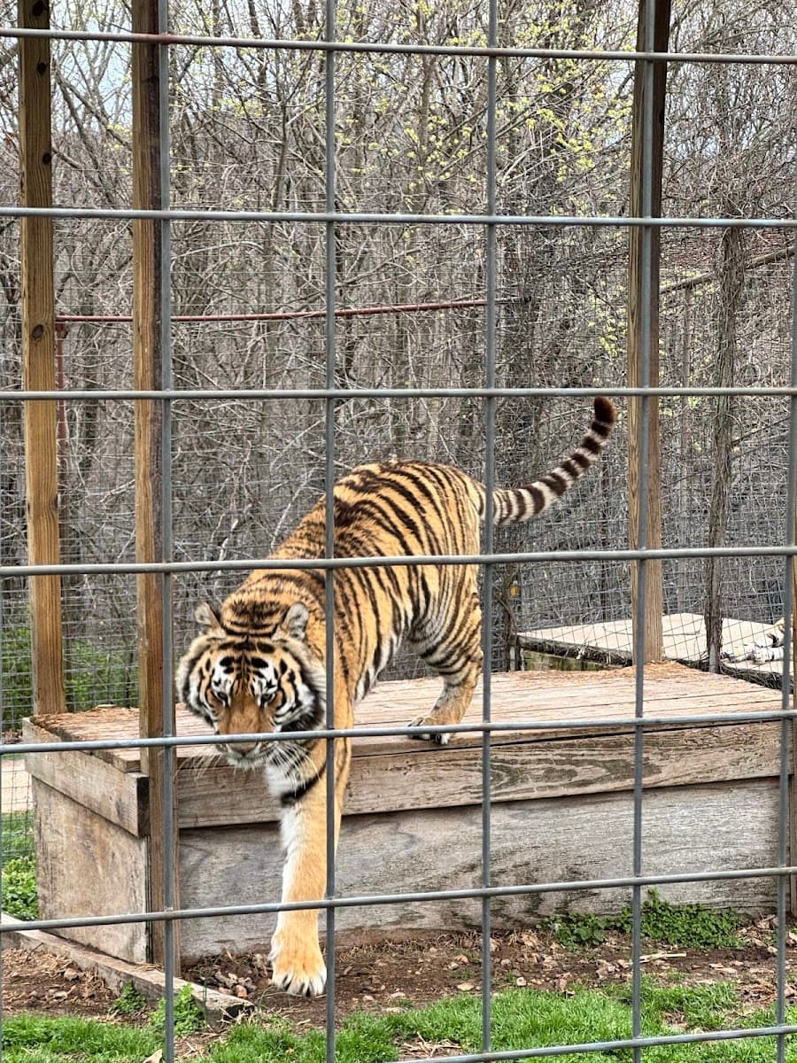 National Tiger Sanctuary