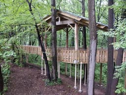 Chessie's Big Backyard