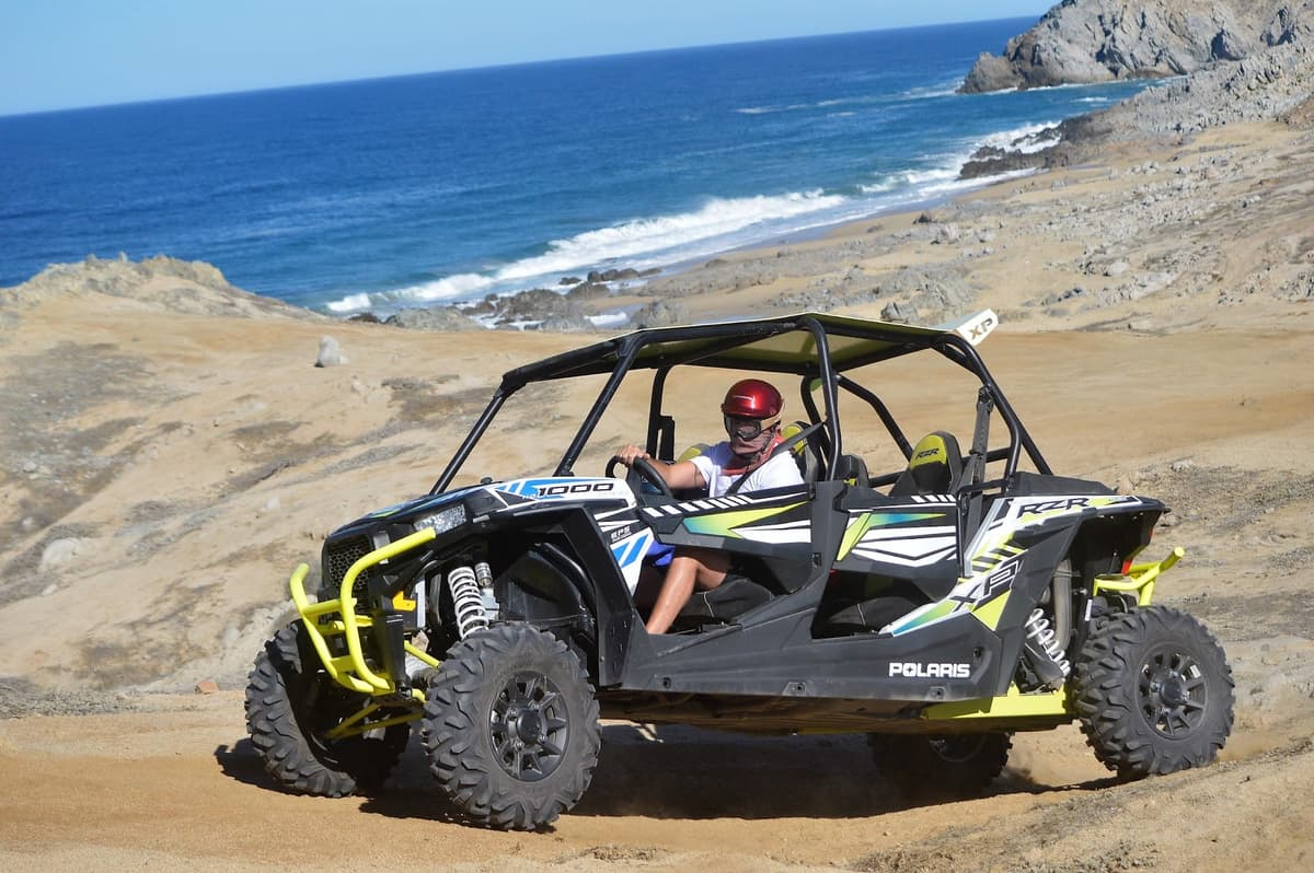 Amigos Activities Los Cabos