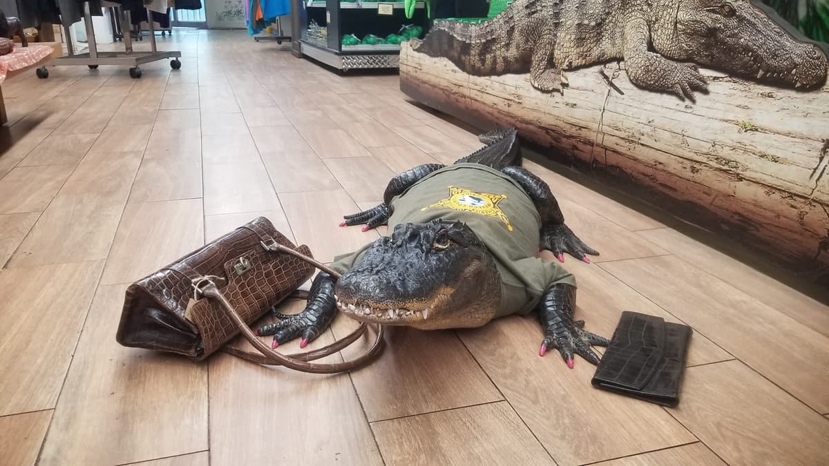 Jungle Adventures, A Real Florida Animal Park