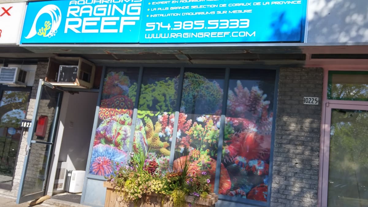 Aquarium Raging Reef - Montreal — photo 1 of 1