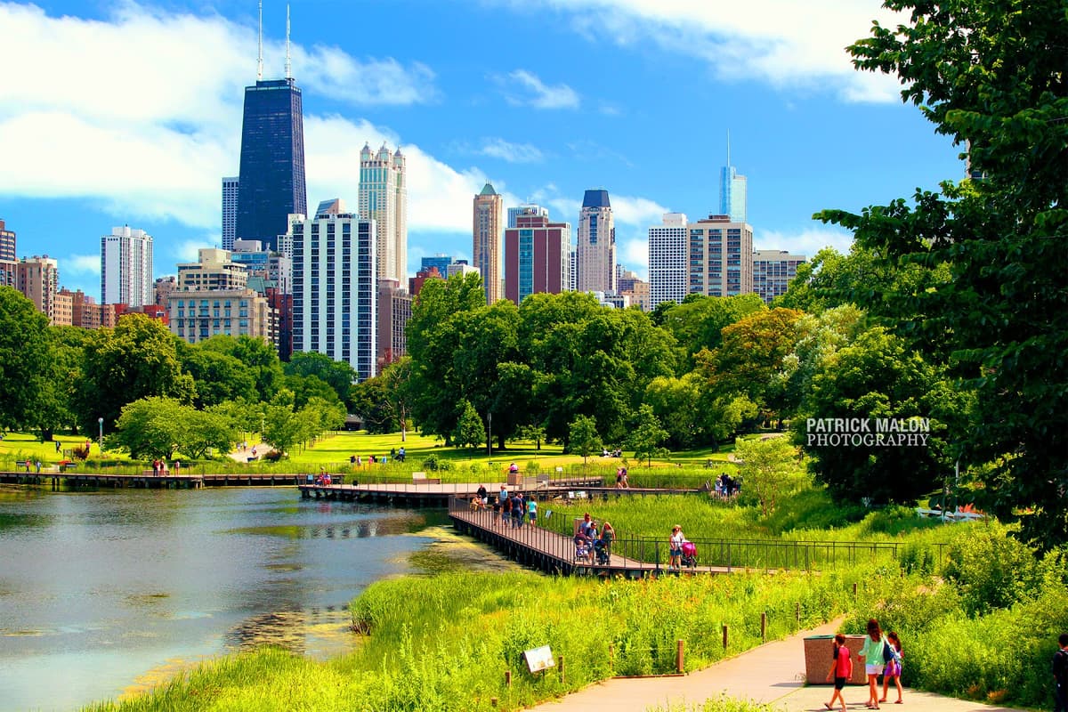 Nature Boardwalk at Lincoln Park Zoo — photo 1 of 1