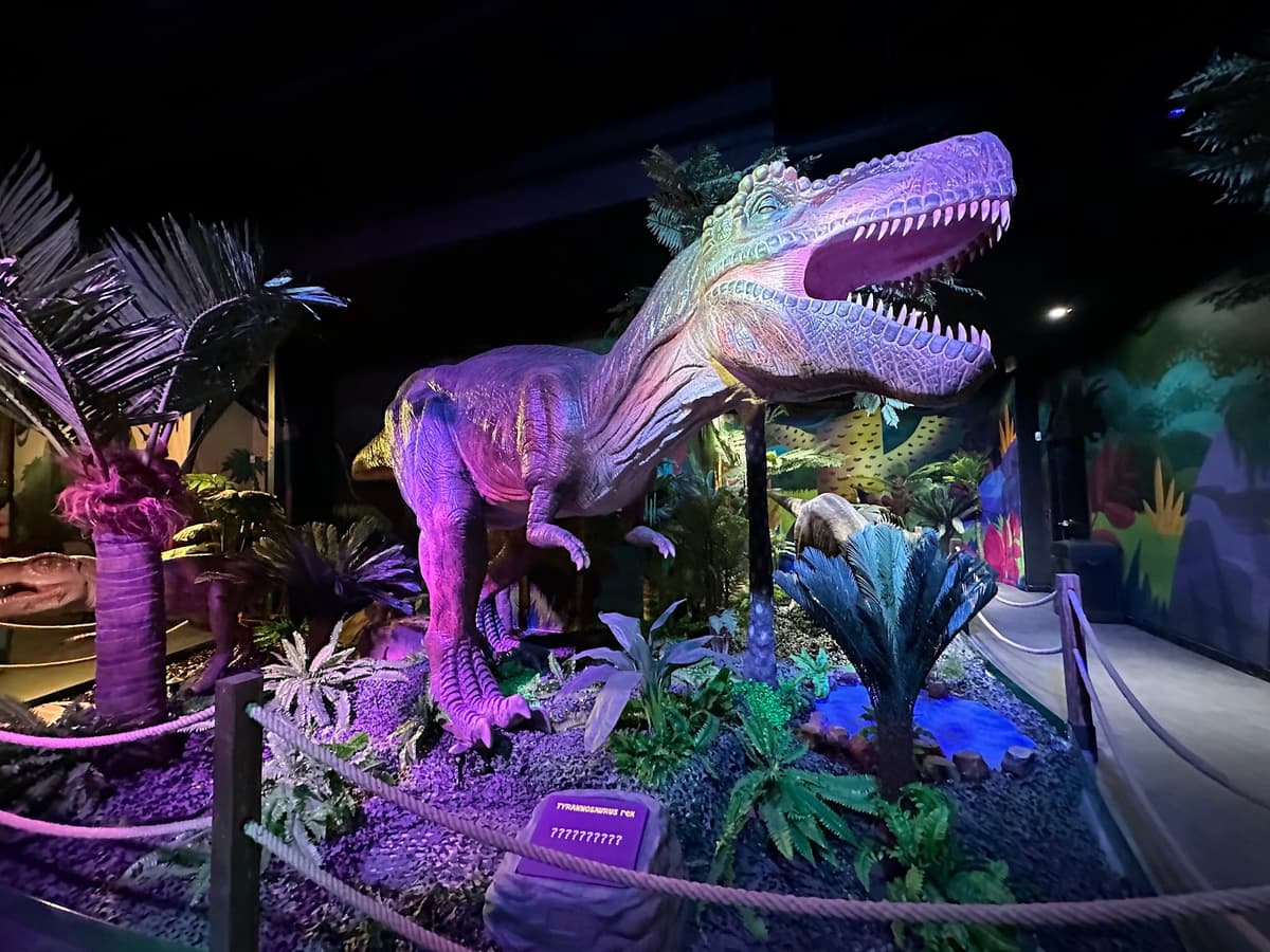 Dinosaur Outpost — photo 1 of 1