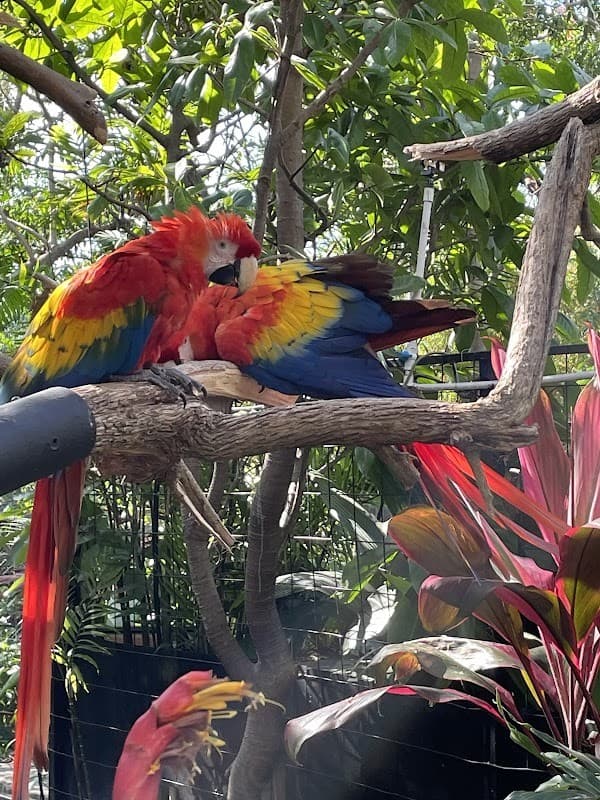 Refugio Animal de Costa Rica