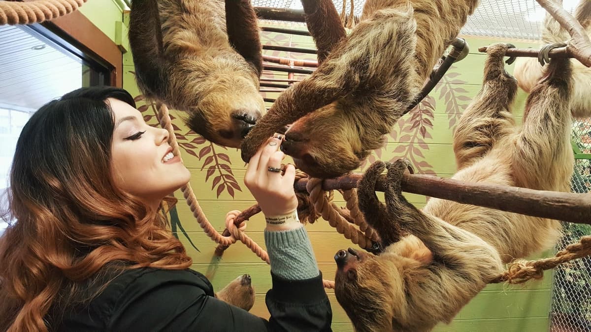 Branson's Promised Land Zoo