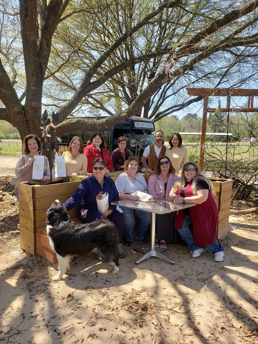 Historic Tours of Texas