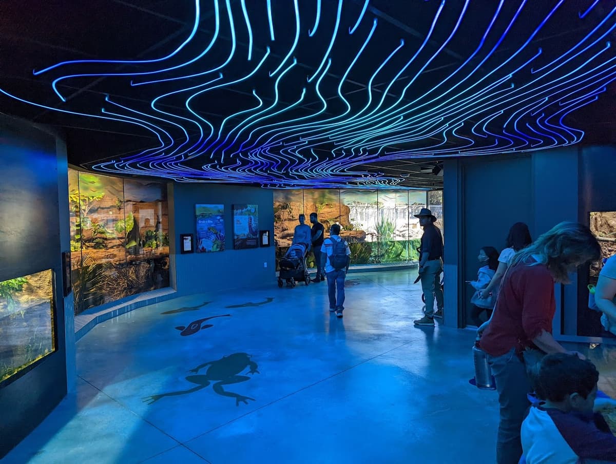 Wildlife Explorers Basecamp — photo 1 of 1