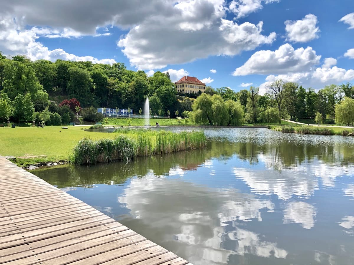 Kralovska obora Stromovka