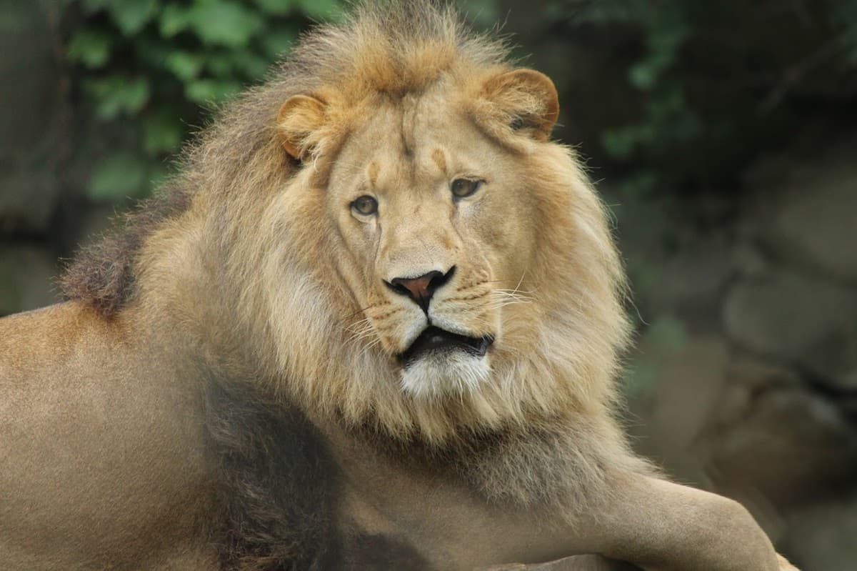 Southwick's Zoo — photo 1 of 2