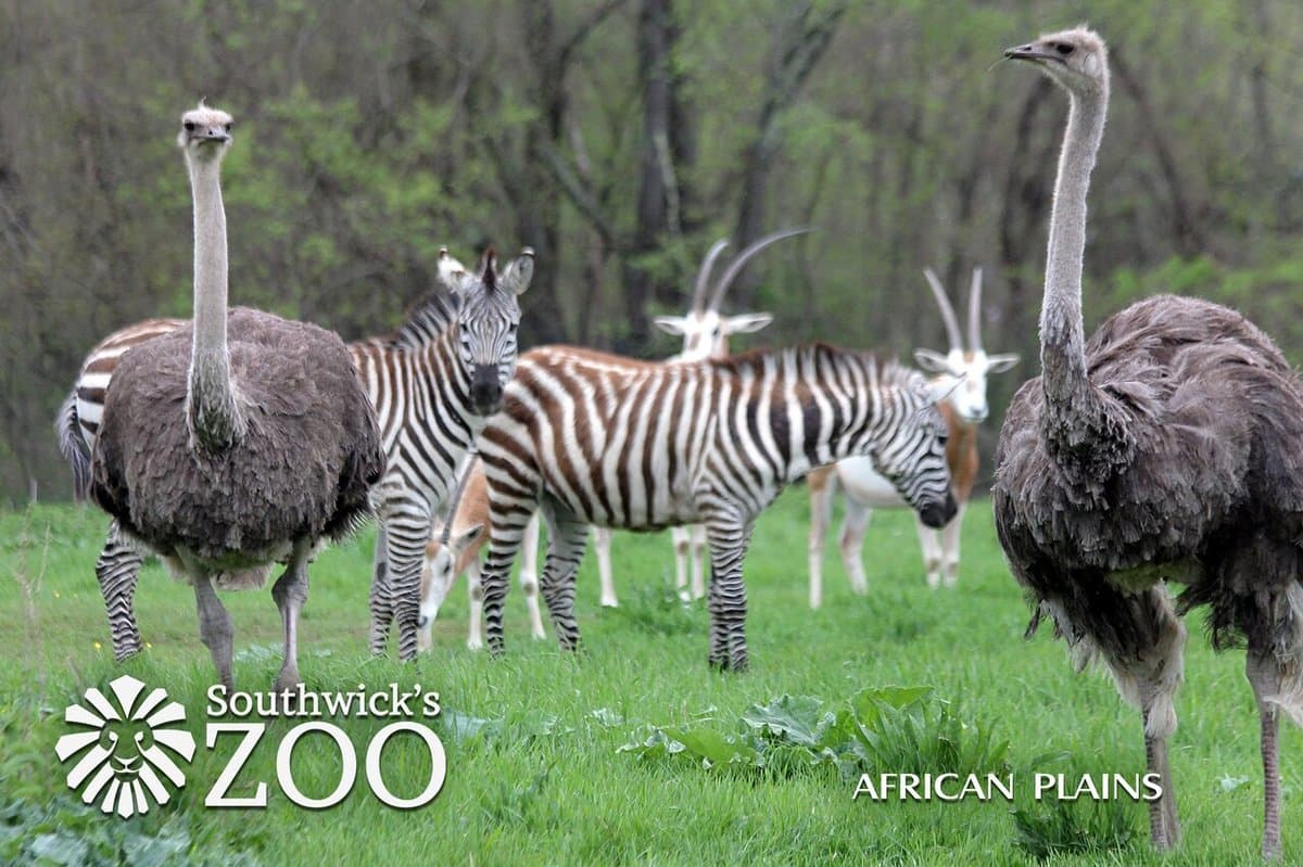 Southwick's Zoo