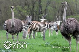 Southwick's Zoo