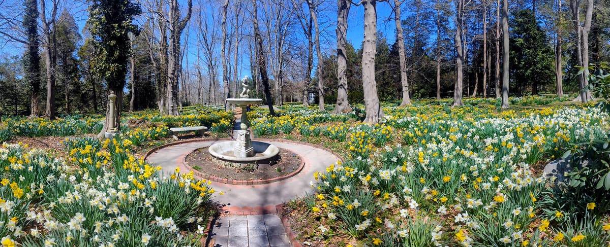 Blithewold Manor, Gardens & Arboretum