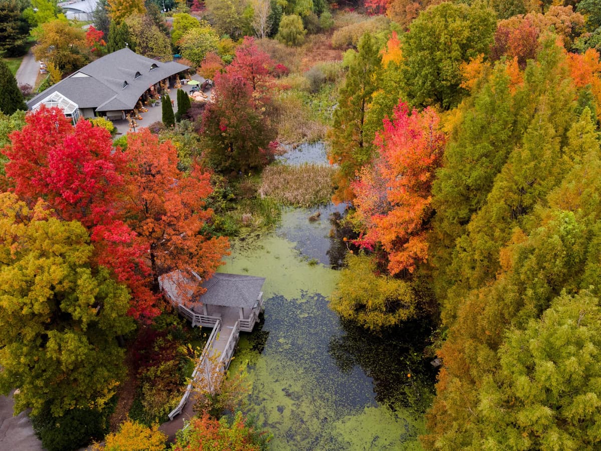 Everett Children's Adventure Garden, NYBG