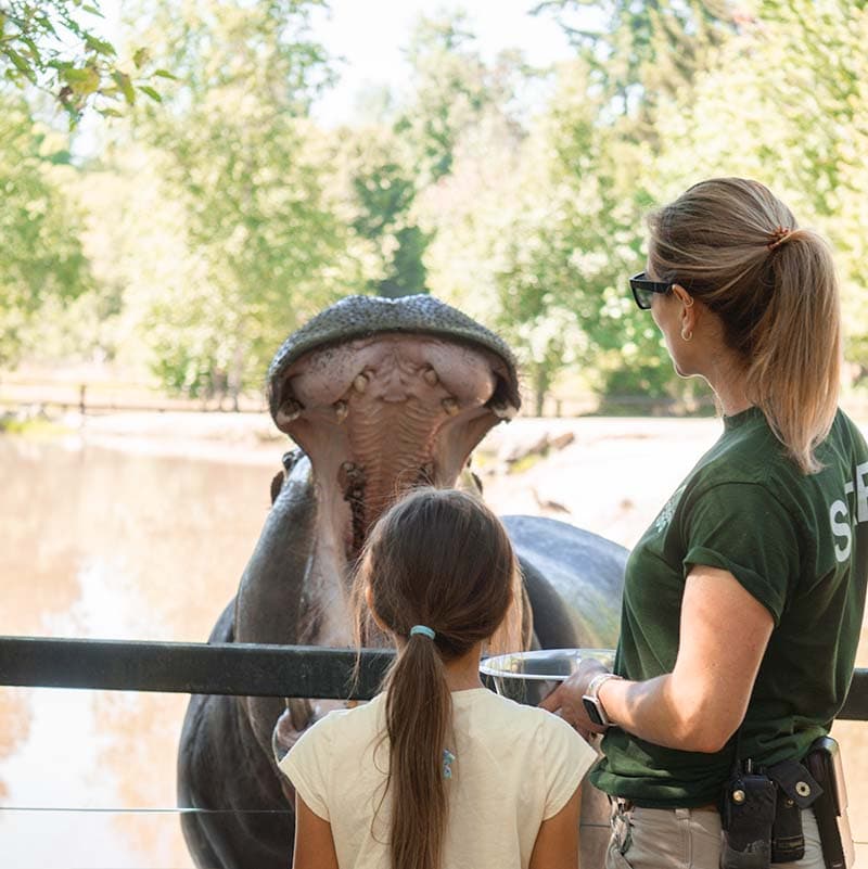 Greater Vancouver Zoo