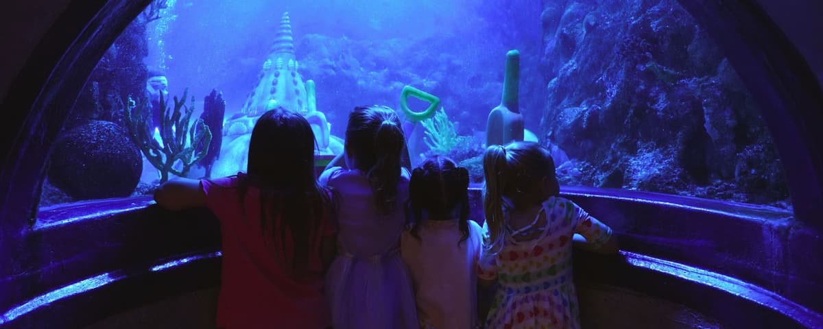SEA LIFE Aquarium