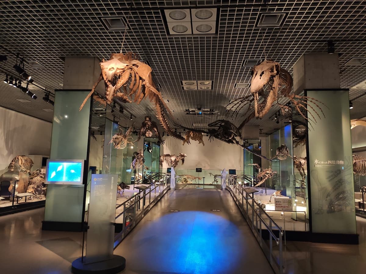 National Museum of Nature and Science