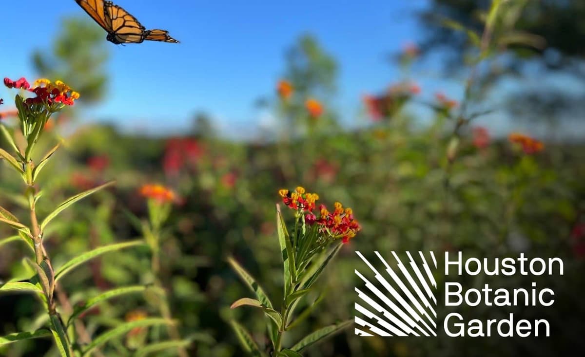 Houston Botanic Garden