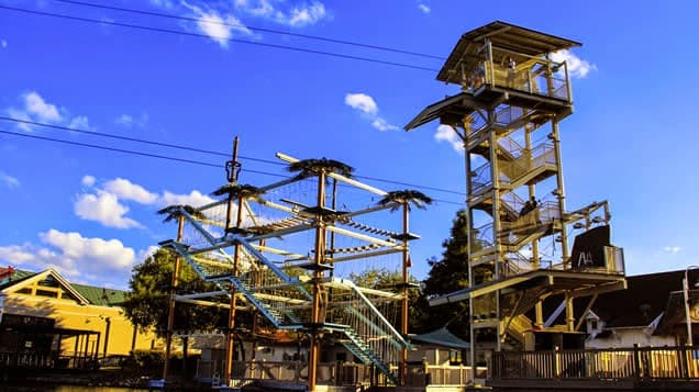 Soar + Explore — photo 1 of 1