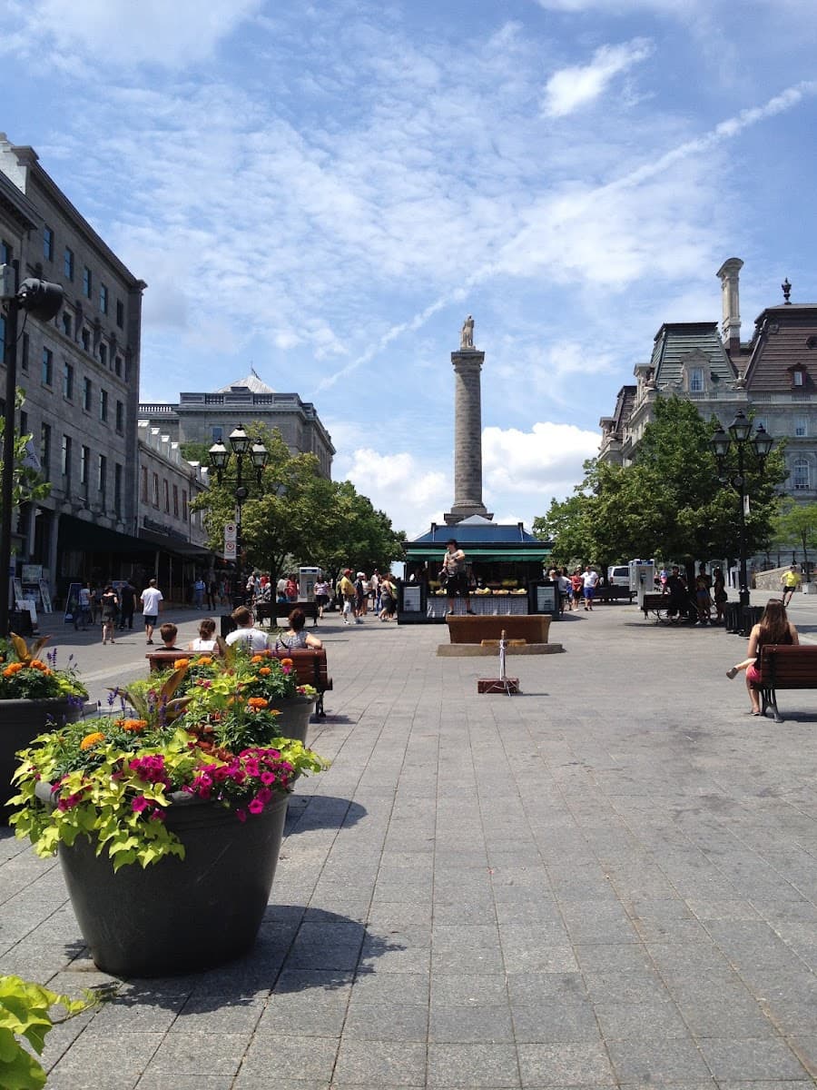 Place Jacques-Cartier — photo 1 of 1