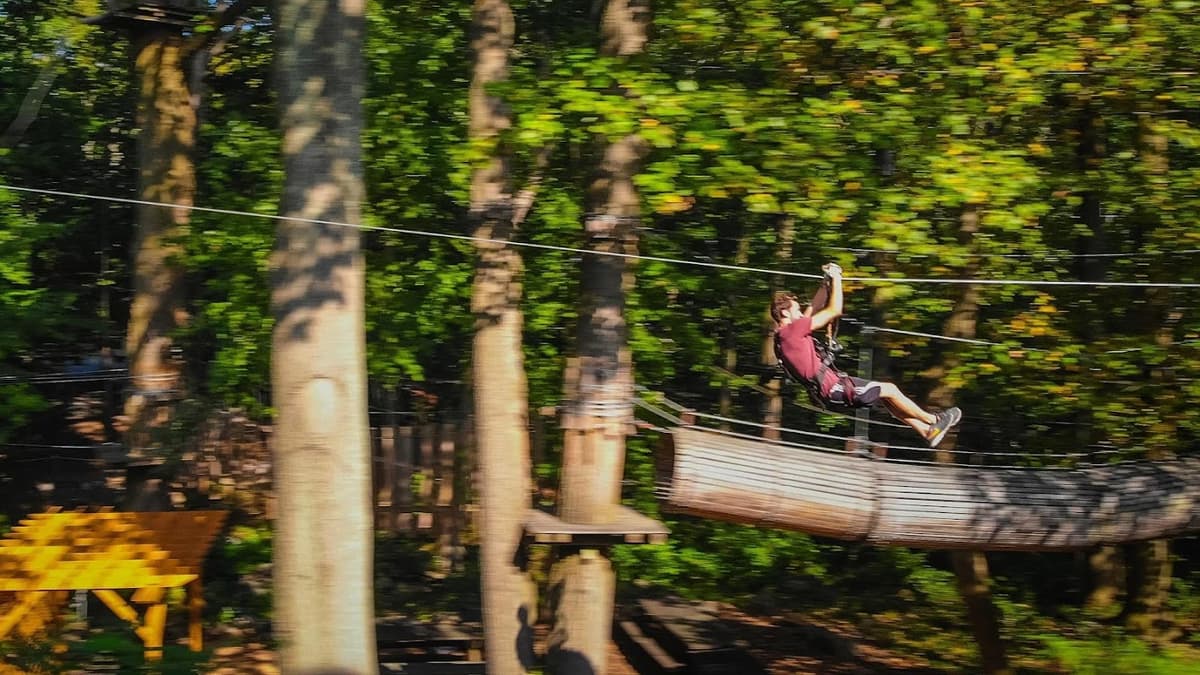 The Adventure Park at Nashville — photo 1 of 2