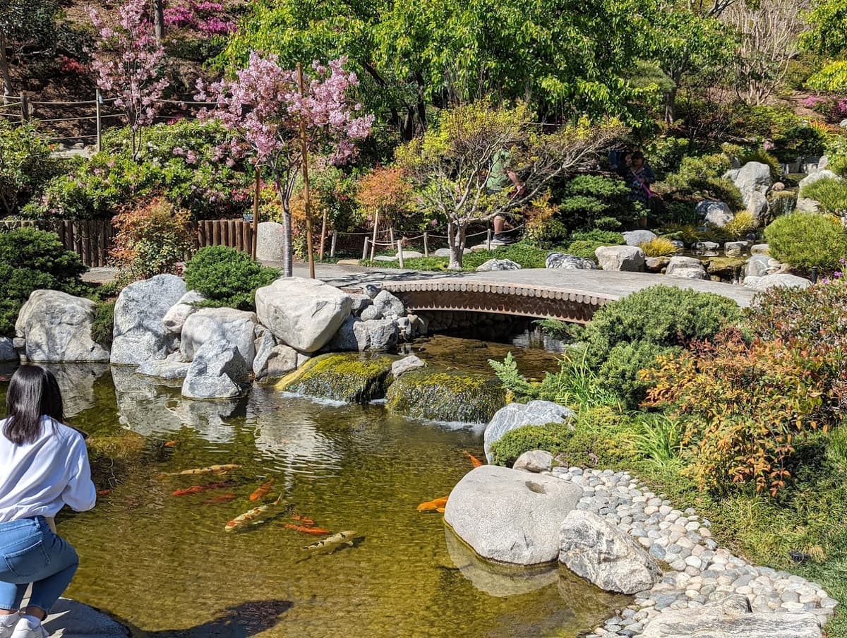 Japanese Friendship Garden & Museum — photo 1 of 1