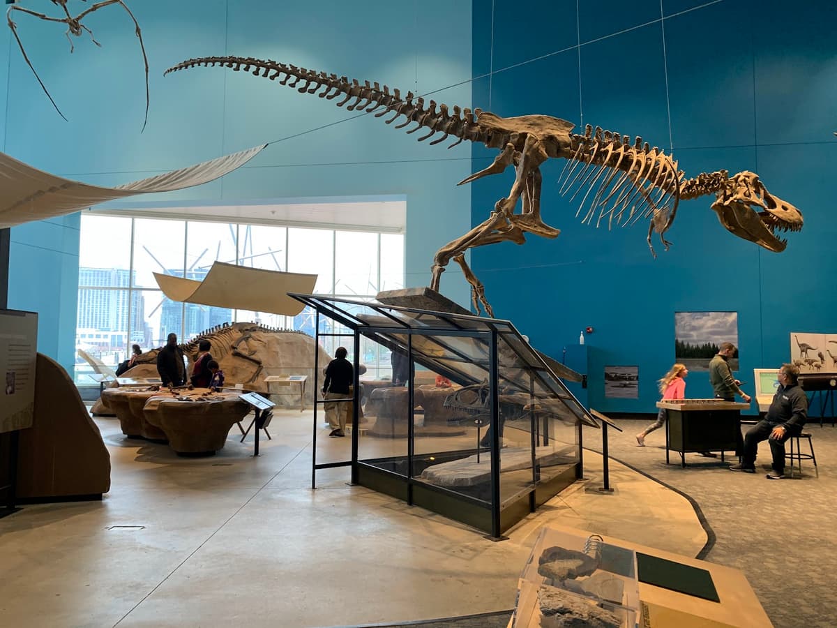 Maryland Science Center — photo 1 of 1