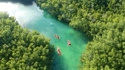 Conexión Nativa Cancún
