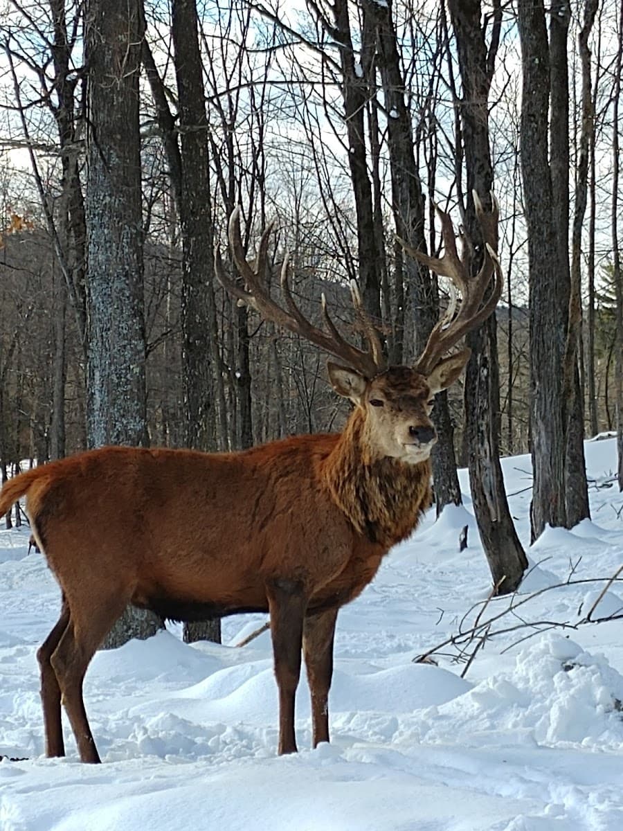Parc Omega
