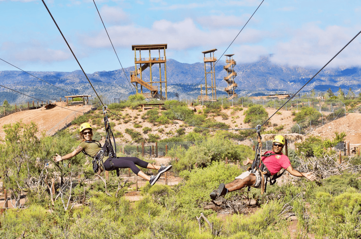 Predator Zip Lines — photo 1 of 2