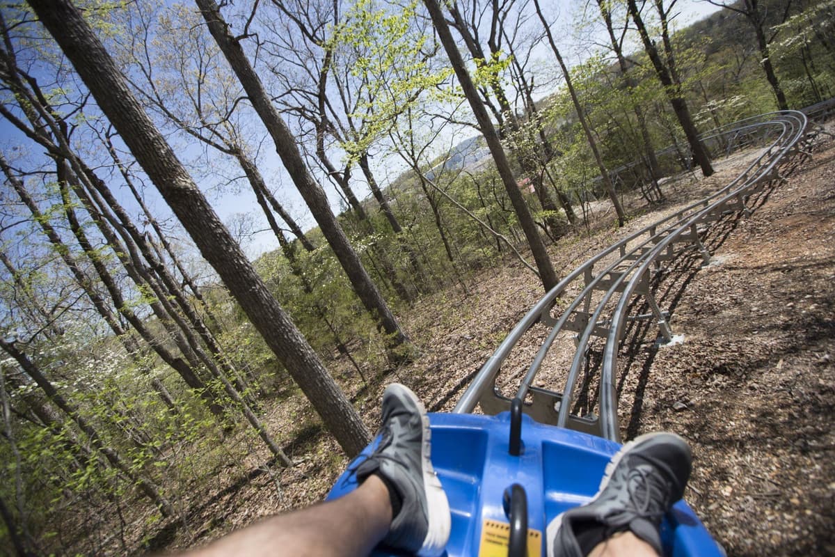 Branson Mountain Adventure