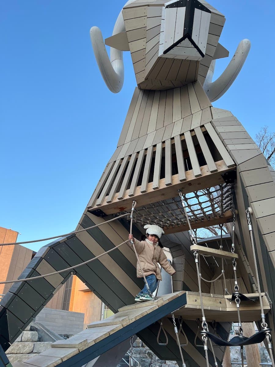 Denver Museum of Nature and Science Park — photo 1 of 1