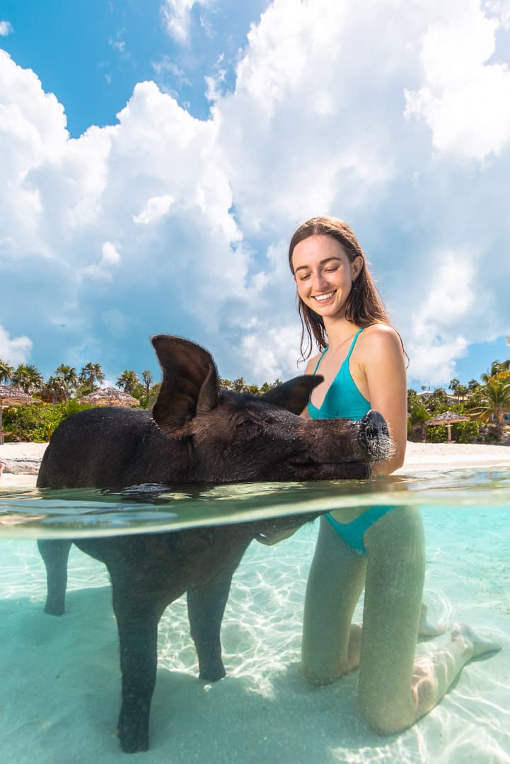 Rose Island Boat Tour & Swimming Pigs