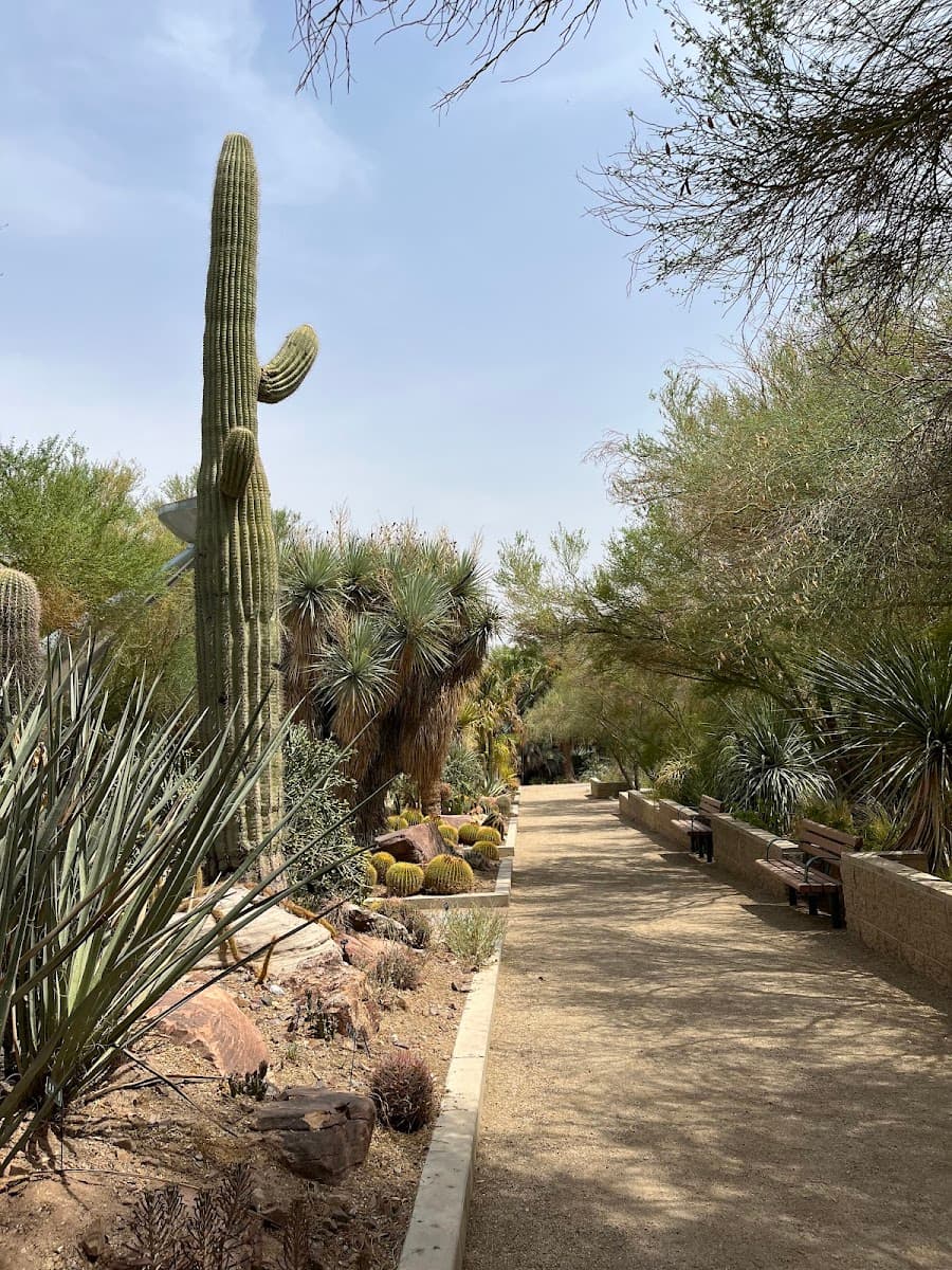 Botanical Garden at the Springs Preserve