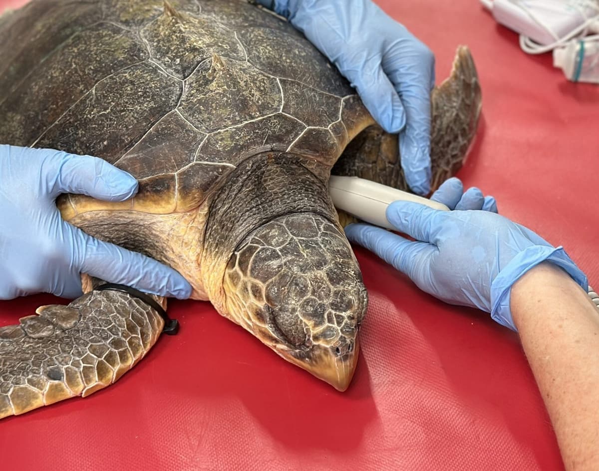 South Carolina Aquarium