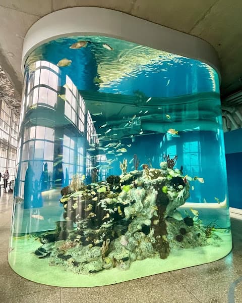 South Carolina Aquarium — photo 1 of 2