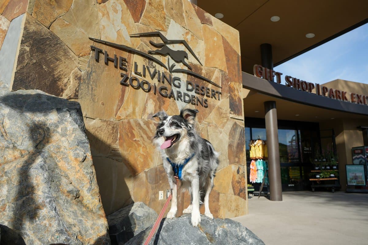 The Living Desert Zoo and Gardens