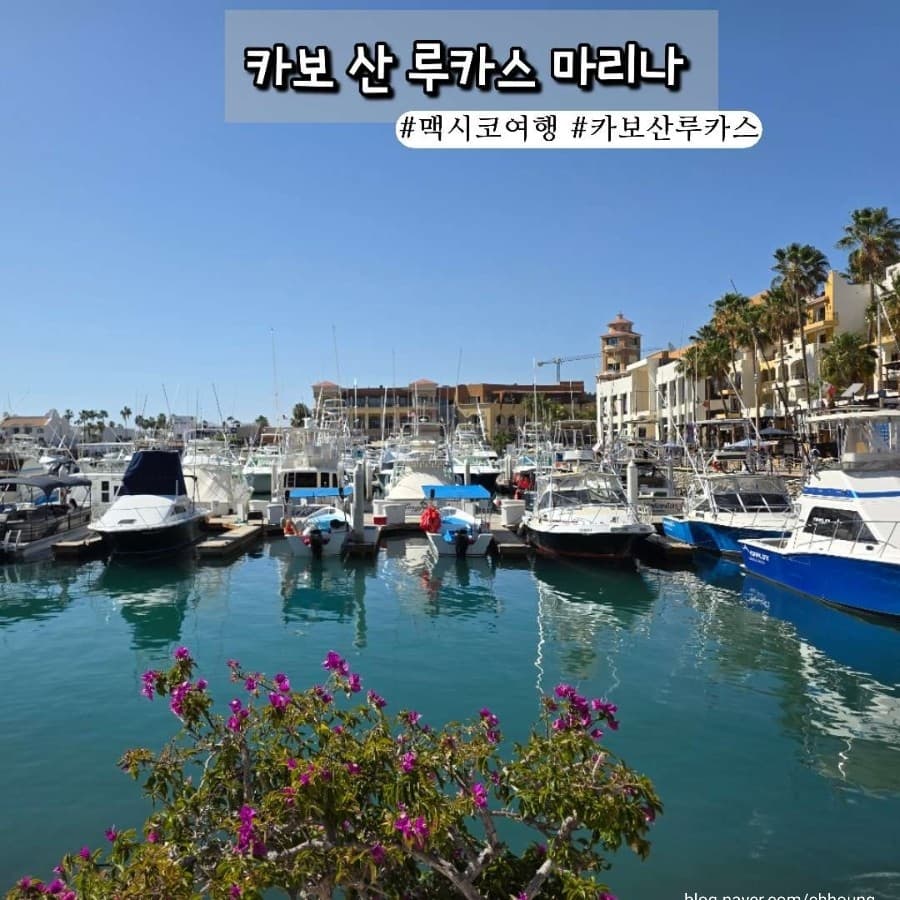 Cabo San Lucas Marina